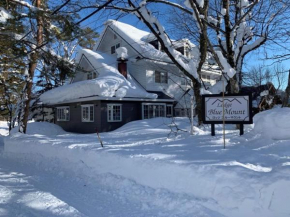 Lodge Blue Mount Hakuba